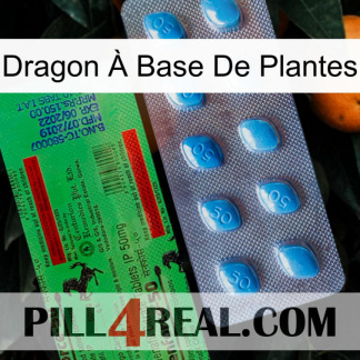 Dragon À Base De Plantes new03
